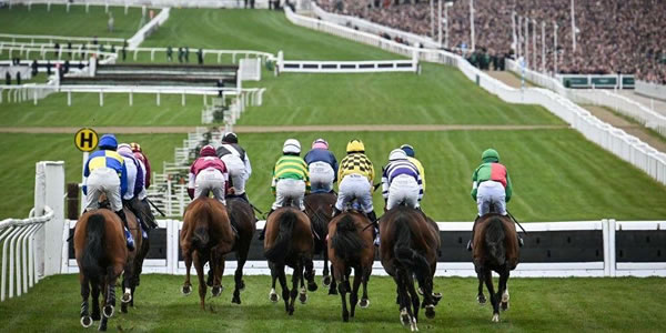 Cheltenham Festival Tickets