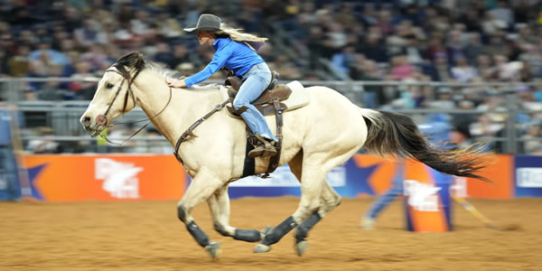 Houston Livestock Show And Rodeo Tickets